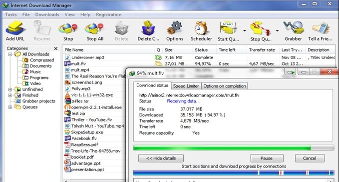 Internet Download Manager