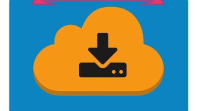 تطبيق 1DM Lite: Browser & Downloader