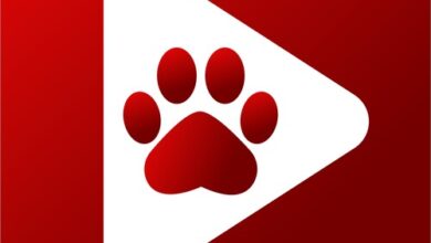 تطبيق Bear Player