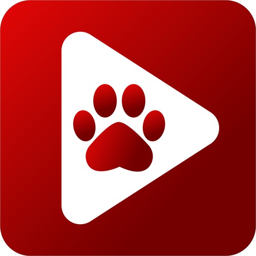 تطبيق Bear Player