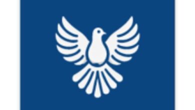 تطبيق ByeByeDPI