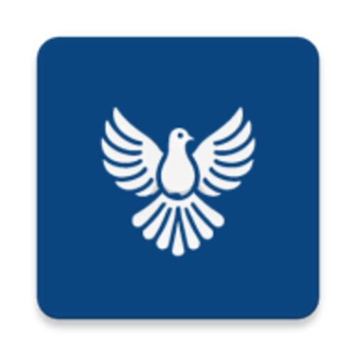 تطبيق ByeByeDPI