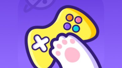 تطبيق Cato Cloud Gaming