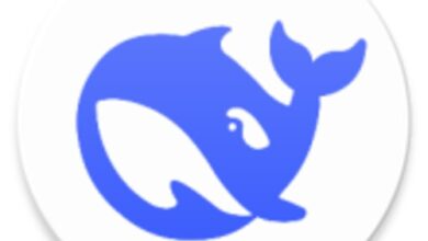 تطبيق DeepSeek