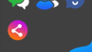 تطبيق Dual Space Pro