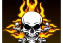 تطبيق FFMax Panel HaK Fire Max