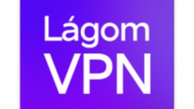 تطبيق Lagom VPN Mobile
