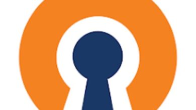 تطبيق OpenVPN Connect