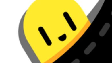 تطبيق PocketPal