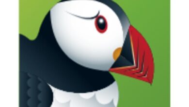 تطبيق Puffin Web Browser Free