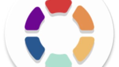 تطبيق Themes Manager