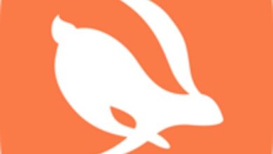 تطبيق Turbo VPN