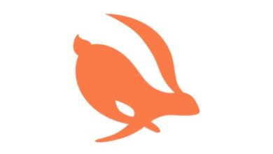 تطبيق Turbo VPN Lite