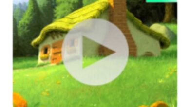 تطبيق Video Live Wallpaper